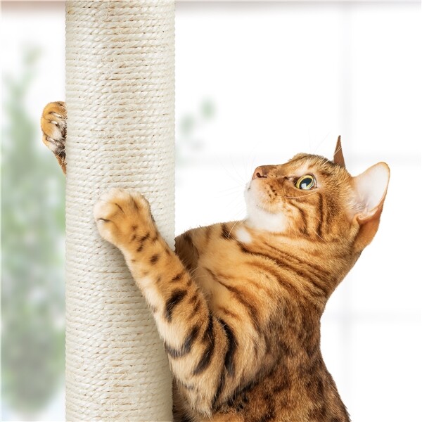 7.4-8.7FT Cat Tree Tower Height Adjustable w/ Condo & Perches & Scratching Posts