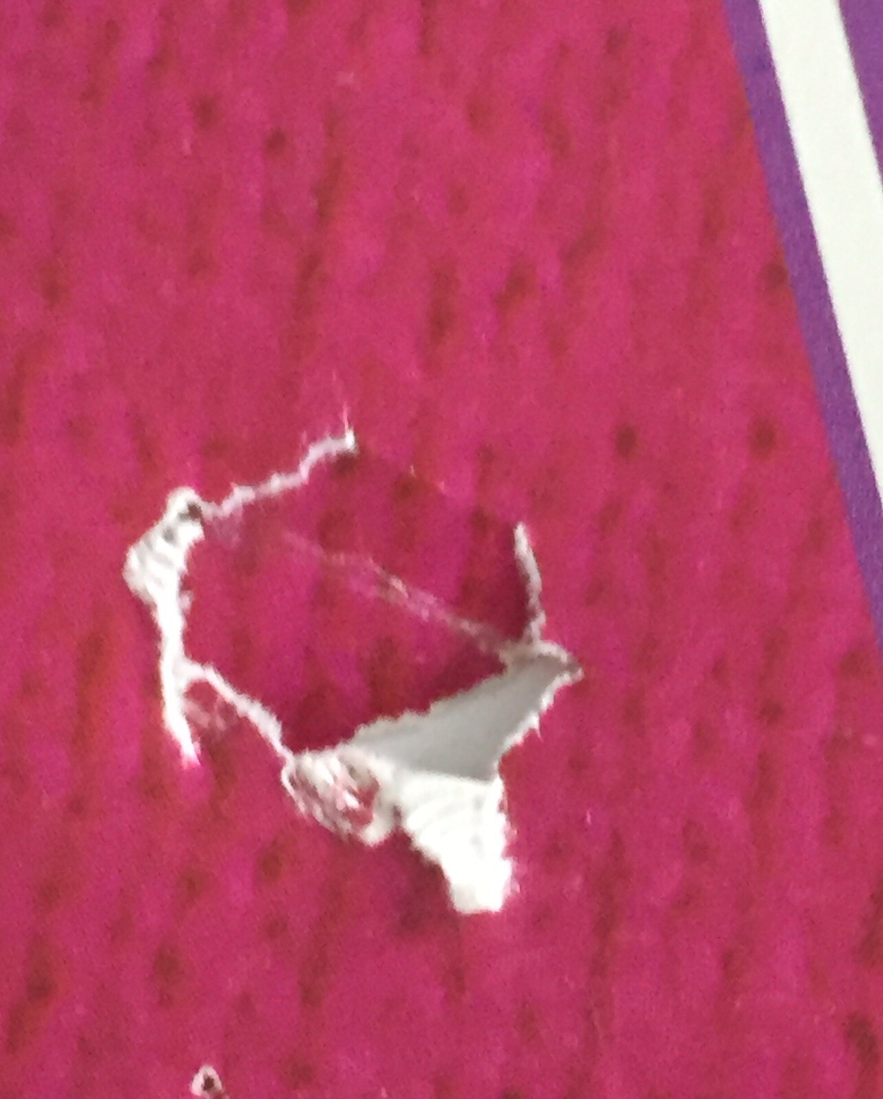 Janis Joplin 1985 Poster Legends Sony 356 C Cabriolet Music Jim Marshall RARE