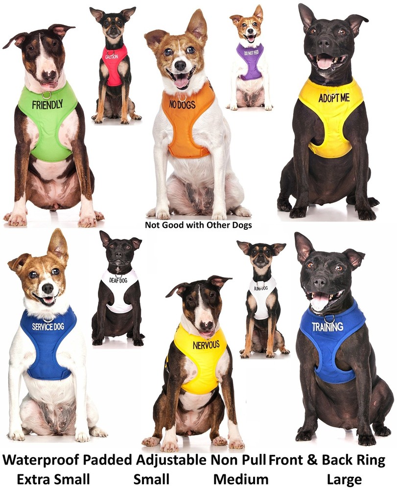 Nervous Yellow Color Coded Waterproof Padded Adjustable Non Pull Front and...