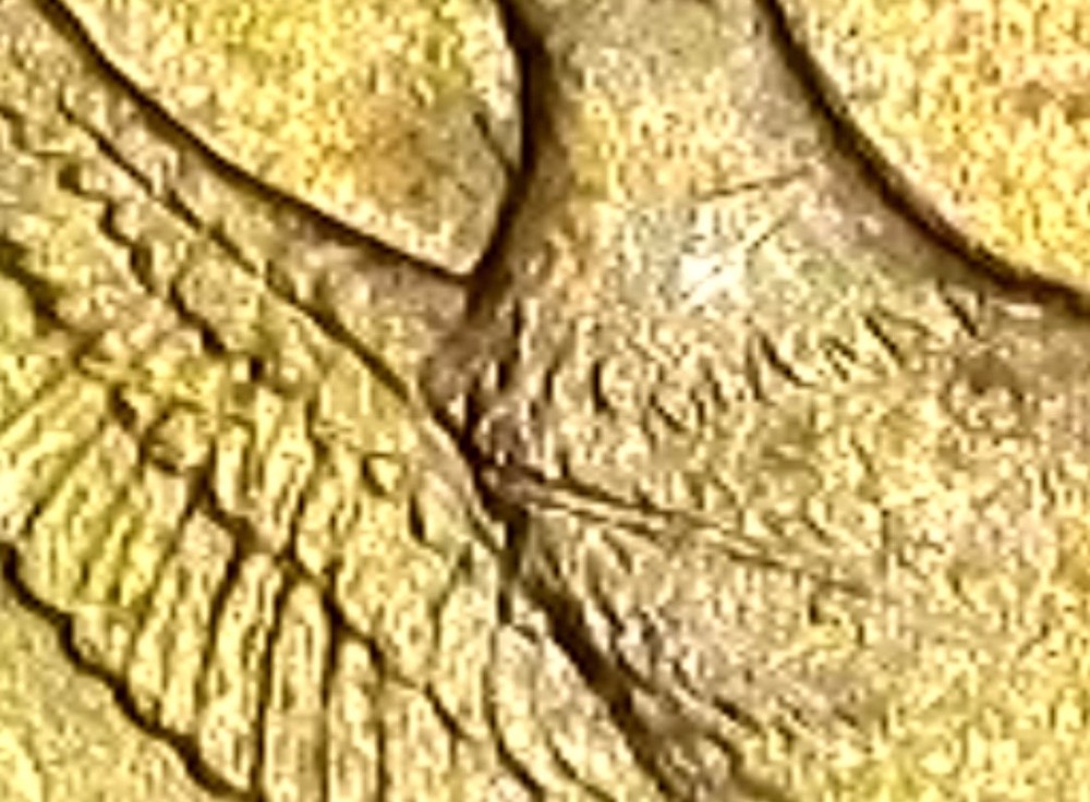 2000-D $1 Dollar Coin Speared Wounded Eagle Sacagawea