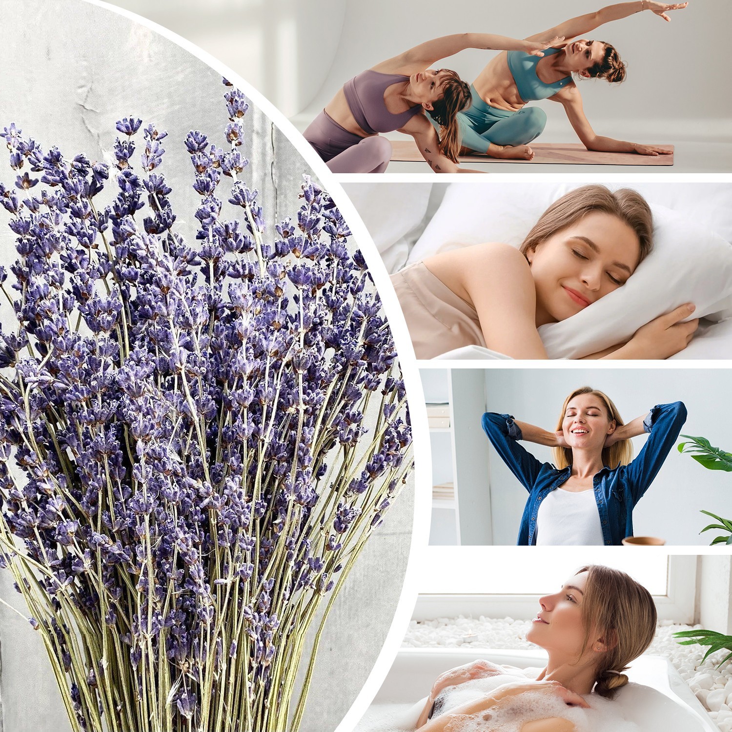 Lavender Bundles - Natural Dried Flowers for Home Decor, 150g (3 Bunches)