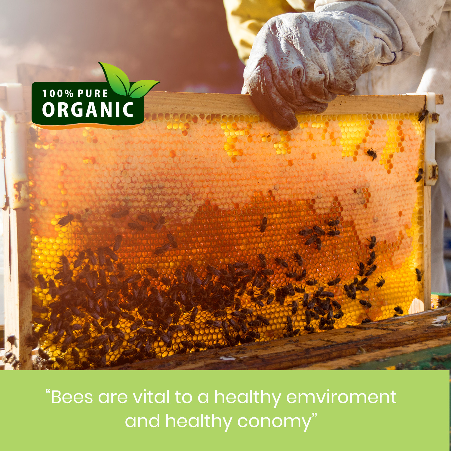 Yellow Beeswax Pastilles Beads 100% Pure & Natural for Lip Care, Body, Candles