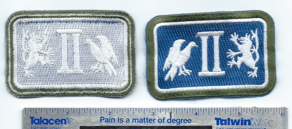 #368 US ARMY 2nd CORPS GREEN BORDER PATCH