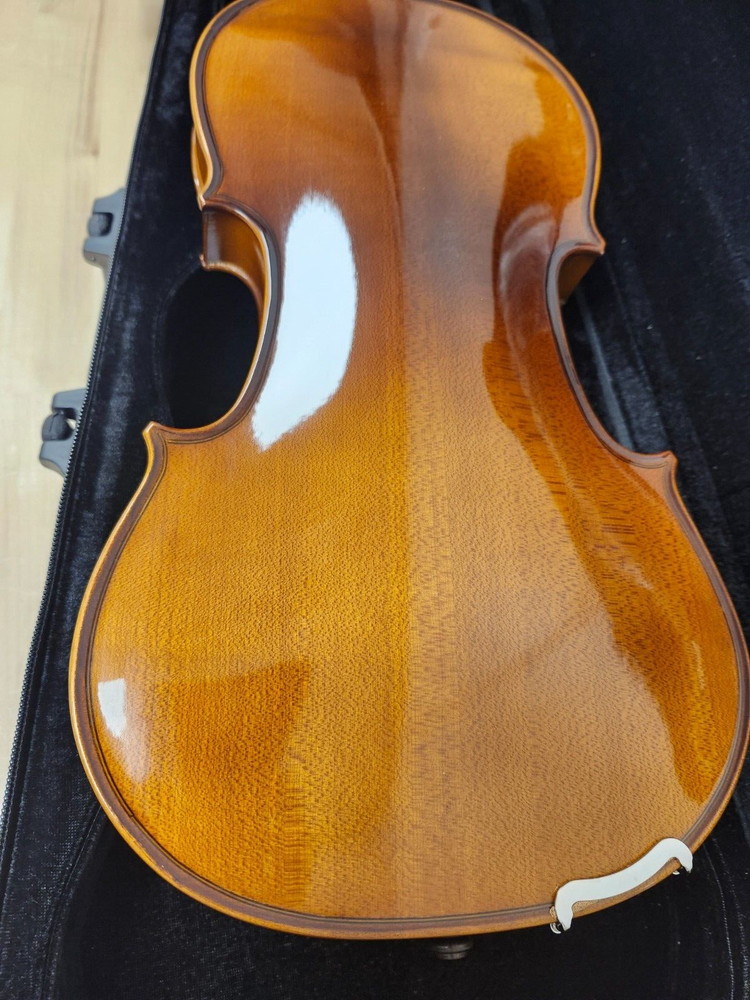 Stagg VN-4/4 EF Solid Maple 4/4 Student Size Violin Ensemble with bow and case