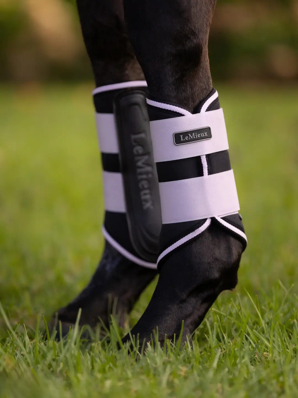 LeMieux Grafter Brushing Boots - Lilac
