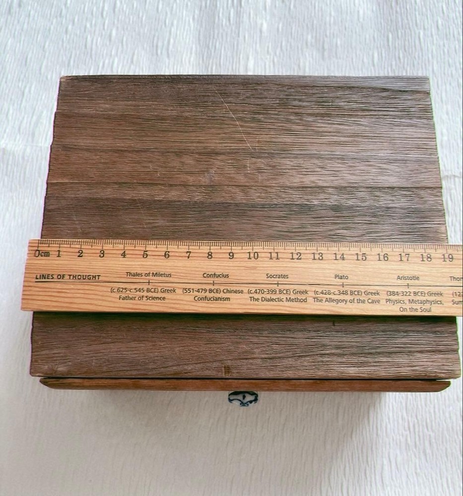 Tachikichi Plate 12cm 5 Set