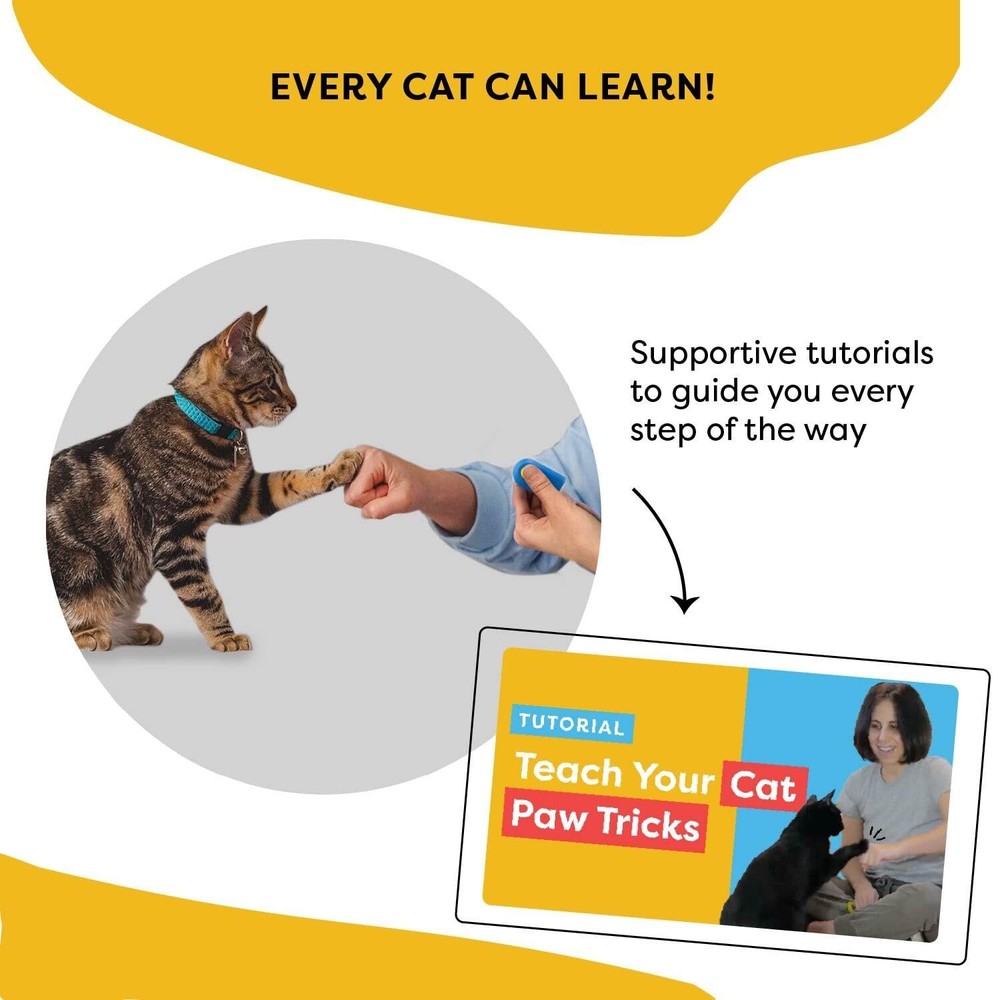 Cat Training Clicker Target Stick – Positive Reinforcement Tool for Behavior