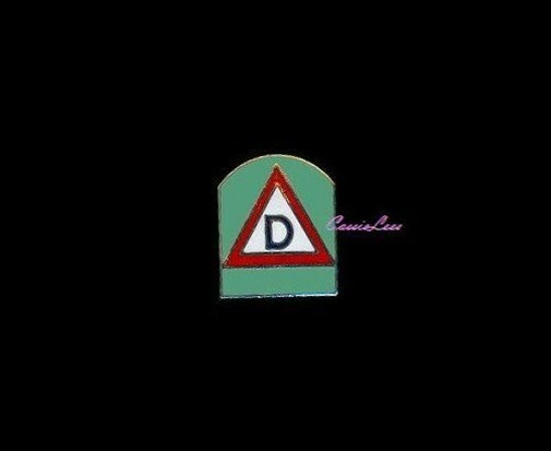 USA 39th Inf. Div. + a custom promo pin