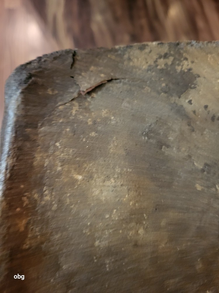 Historic Bison SHOULDER BLADE scapula
