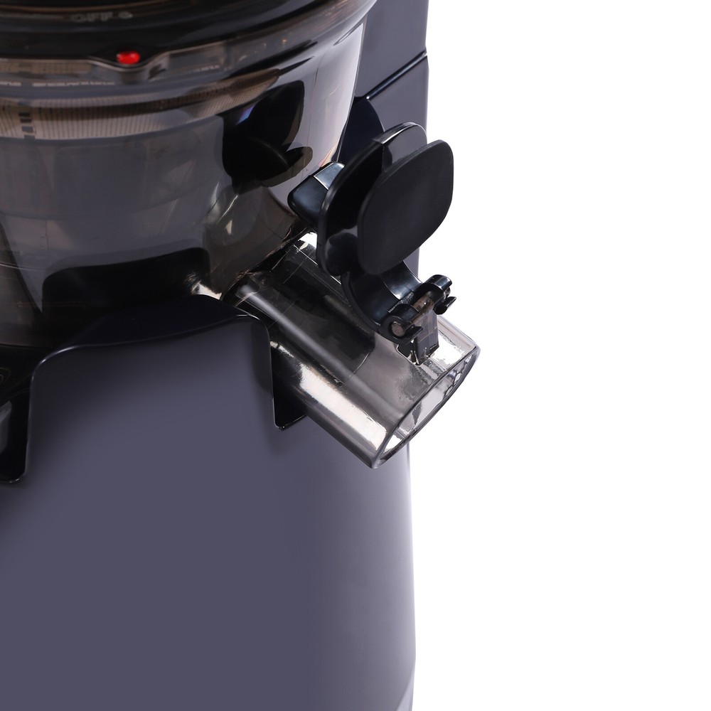 Kitchen Juicer Masticating Juicer Machine Squeezing Fruit Extractor Juicer 250W