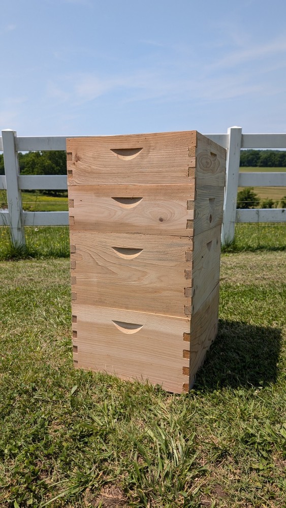 Cypress Langstroth Beehive Ten Frame Budget Grade