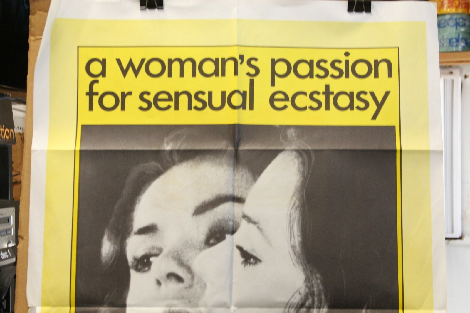 Libido The Urge To Love Original Movie Poster Paste Over Sensuous Teenager 1971