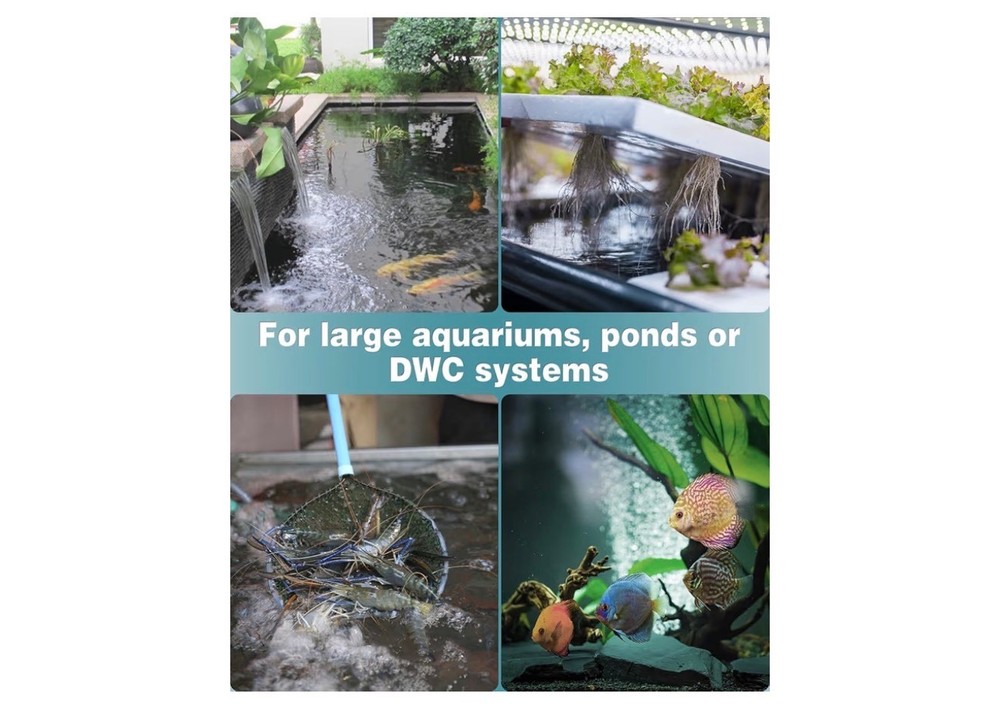 2. Aquarium 12 Inch Air Stone. Bubble Diffusers B4
