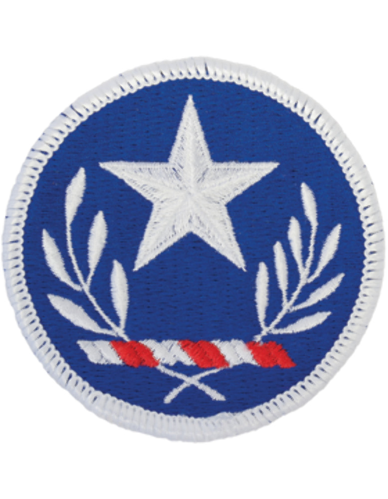 Texas National Guard Patch