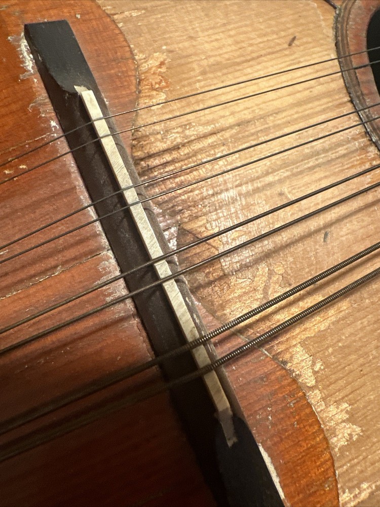 VINTAGE Old MANDOLIN Strings Antique