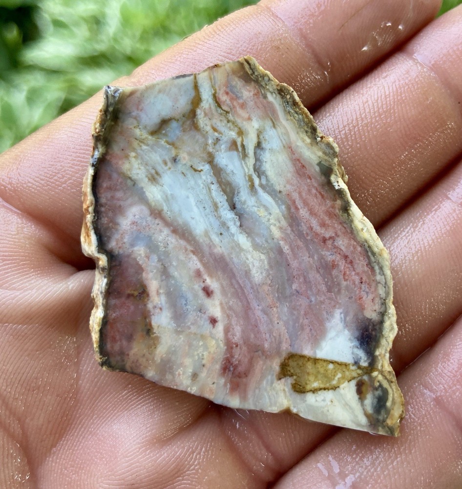 Mozarkite Chert Old Stock Slab