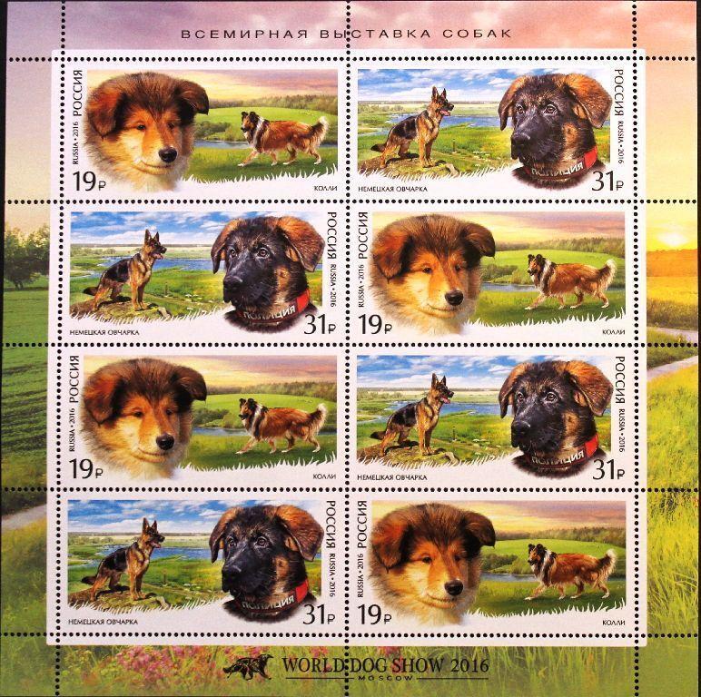 RUSSIA RUSSIA 2016 Klb 2318-19 Dogs Dogs German Shepherd Colli **