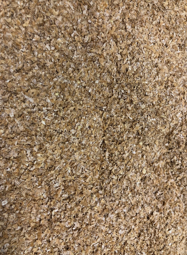 Wheat Bran