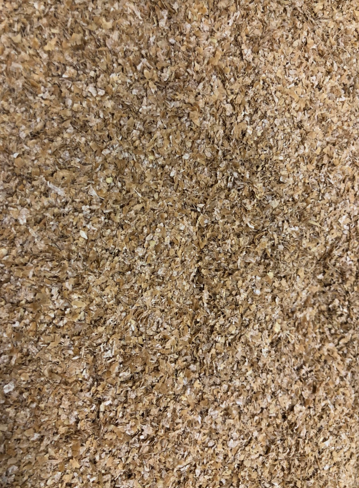 Wheat Bran