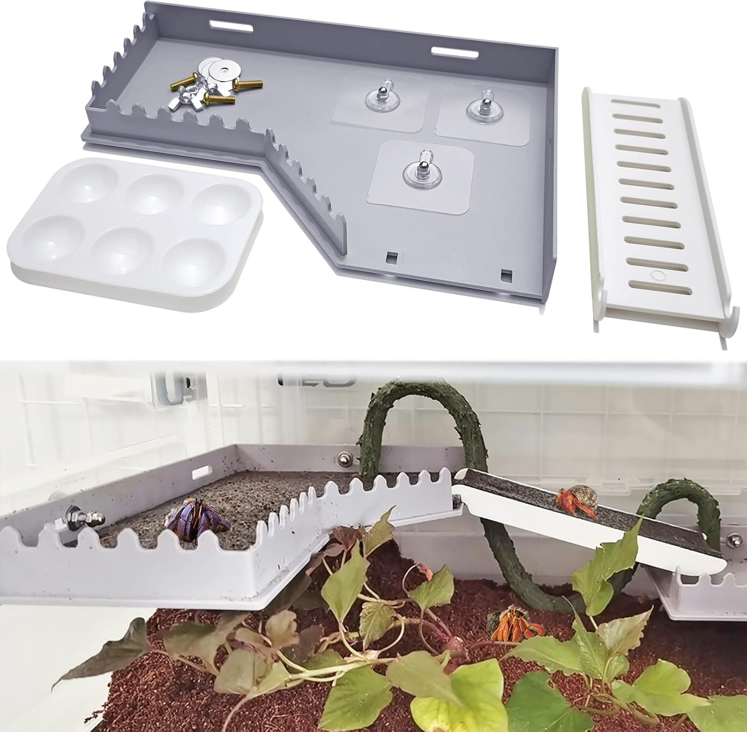 Hermit Crab Accessories - Platform with Ladder and Food Dish, Hermit Crab Climbi