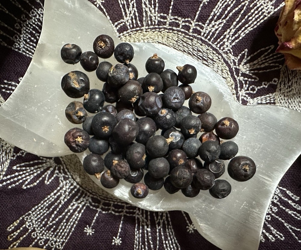 Juniper Berries, Creativity, Self expression, Banish Curses and Hexes
