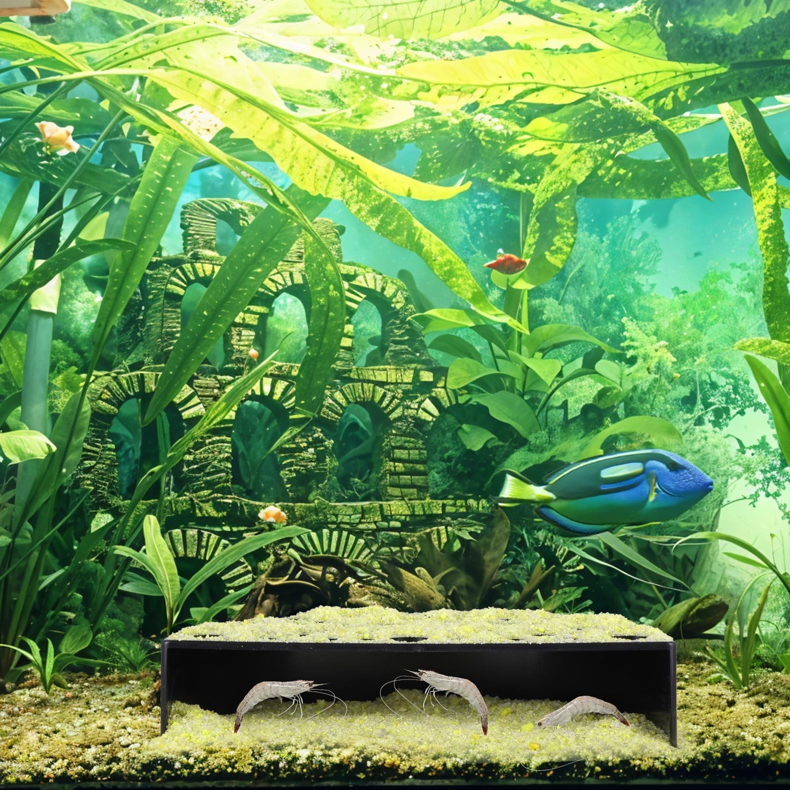 2 Pcs Shrimp Hides for Aquarium, Shrimp Breeding Caves Hideout Shelters for P...