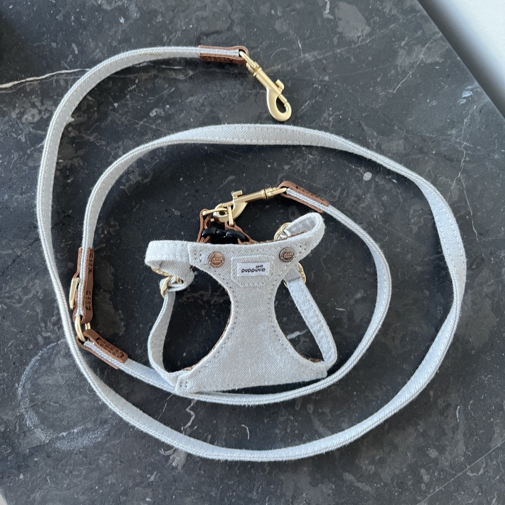 tiny dog harness Set