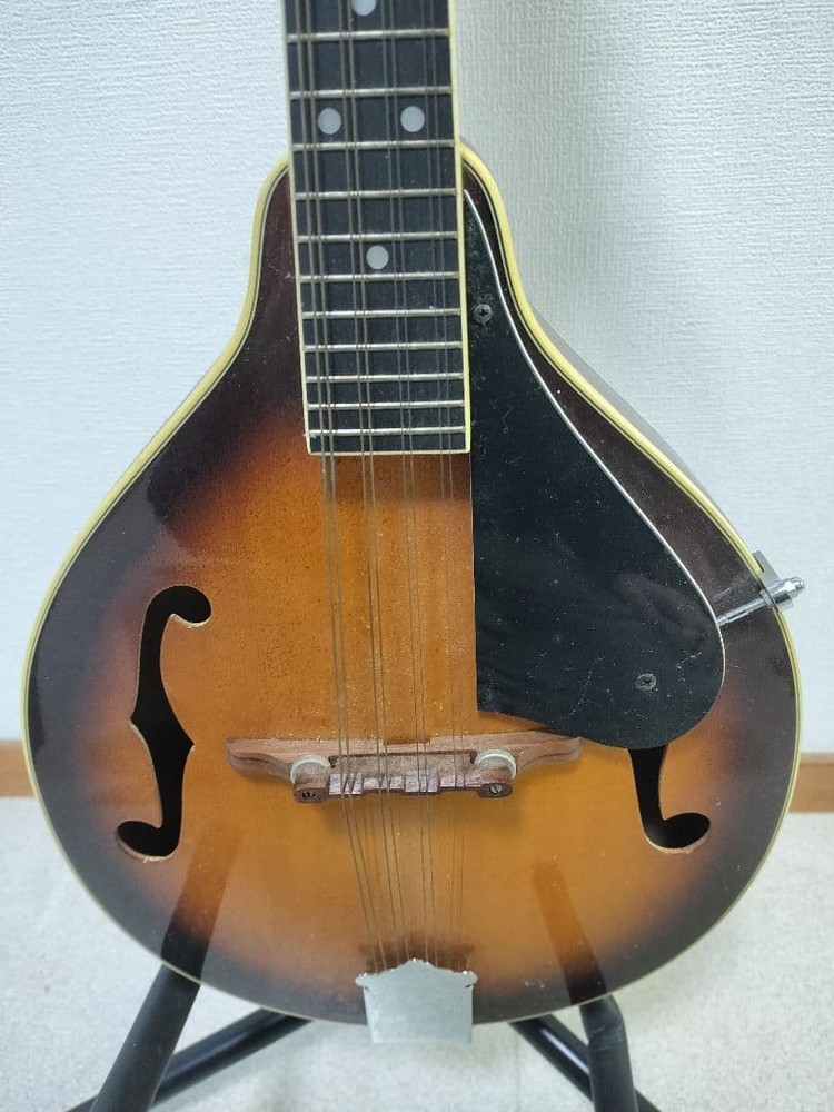 Samick Samick Mandolin sm20ts