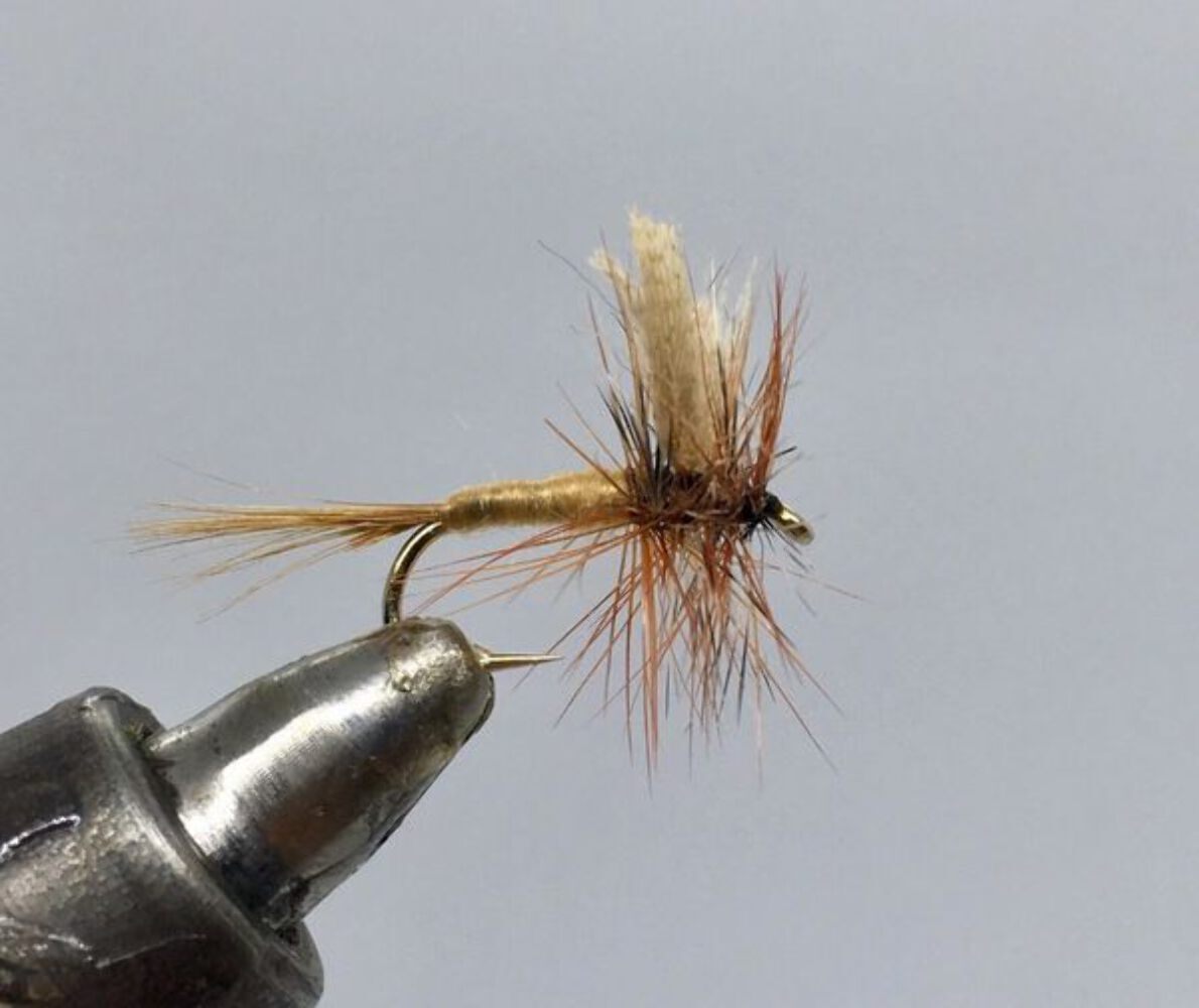One Dozen (12) - March Brown Dun - Dry Fly