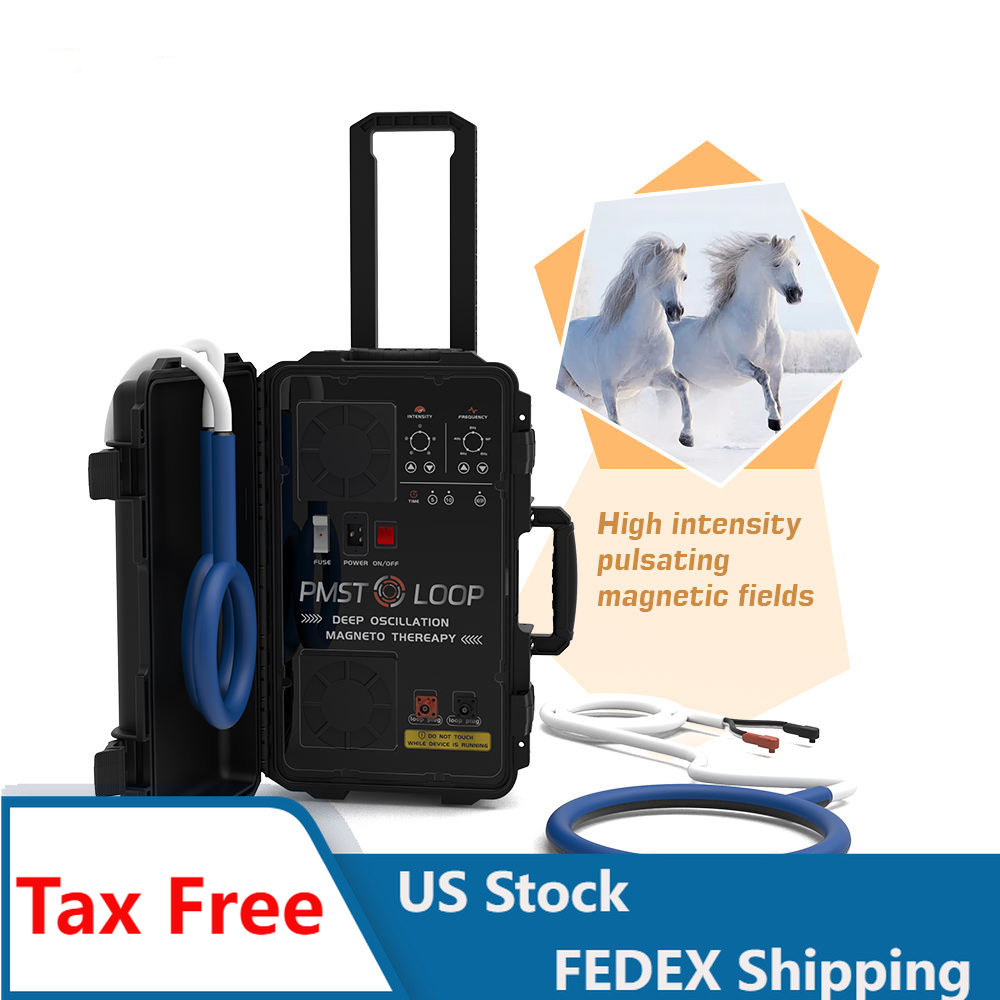 Pemf Therapy Machine Pmst Loop Pain Ruction Magnetic Therapy Device for Horses