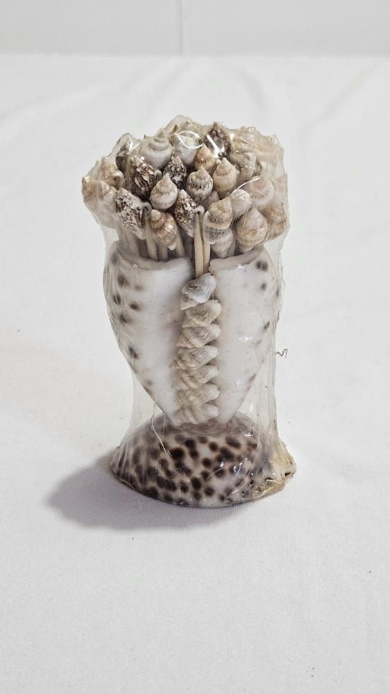 Seashell Toothpick Holder • Shell Cocktail Picks • Coastal Decor
