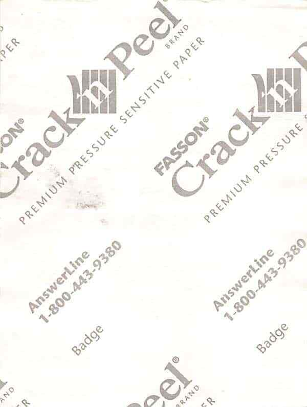 Neil Young & Crazy Horse Backstage Pass White Working Cloth Variant