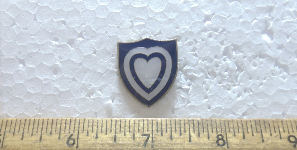 US Army - 24th Corps Pin