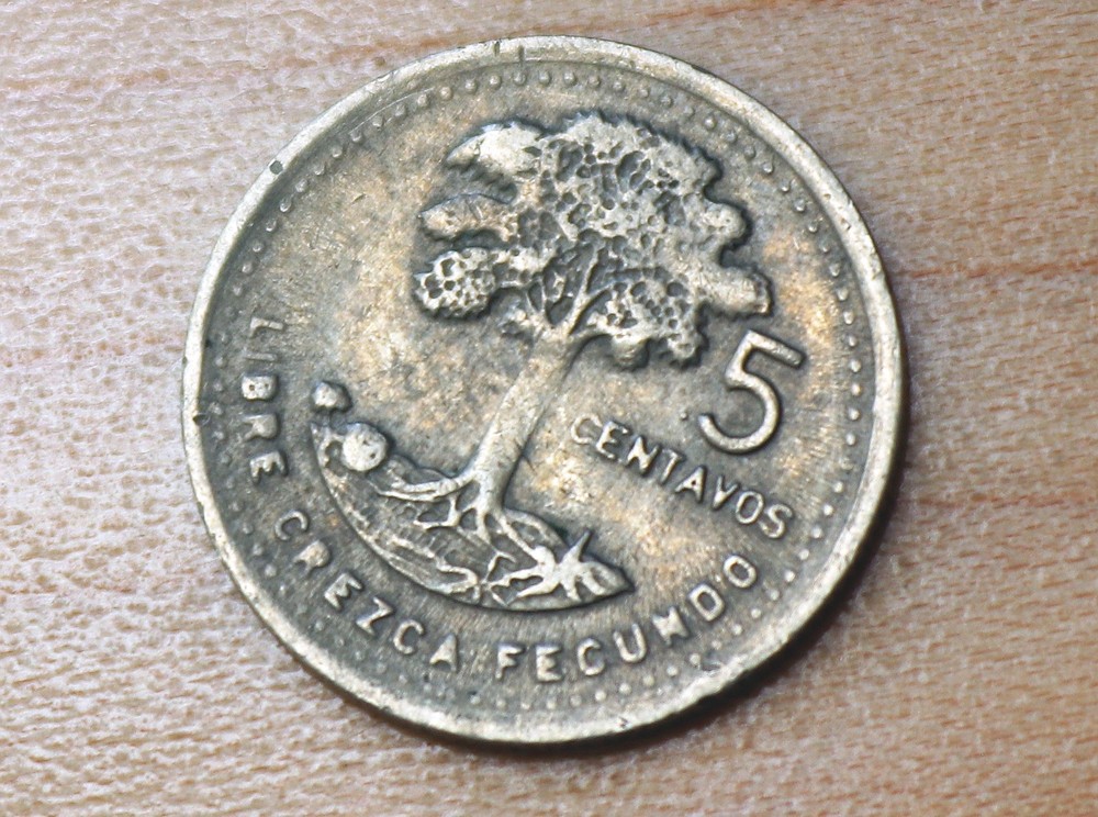 1990 Guatemala 5 Centavos Kapok Tree