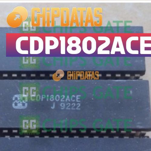 10PCS CDP1802ACE CDP1802 CMOS 8-Bit Microprocessors DIP-40 IC #R07