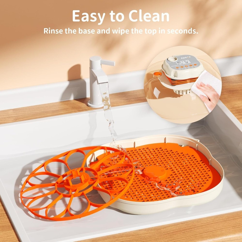 Elegant Egg Incubator with Automatic Turning & Temperature Control for 12 Eggs