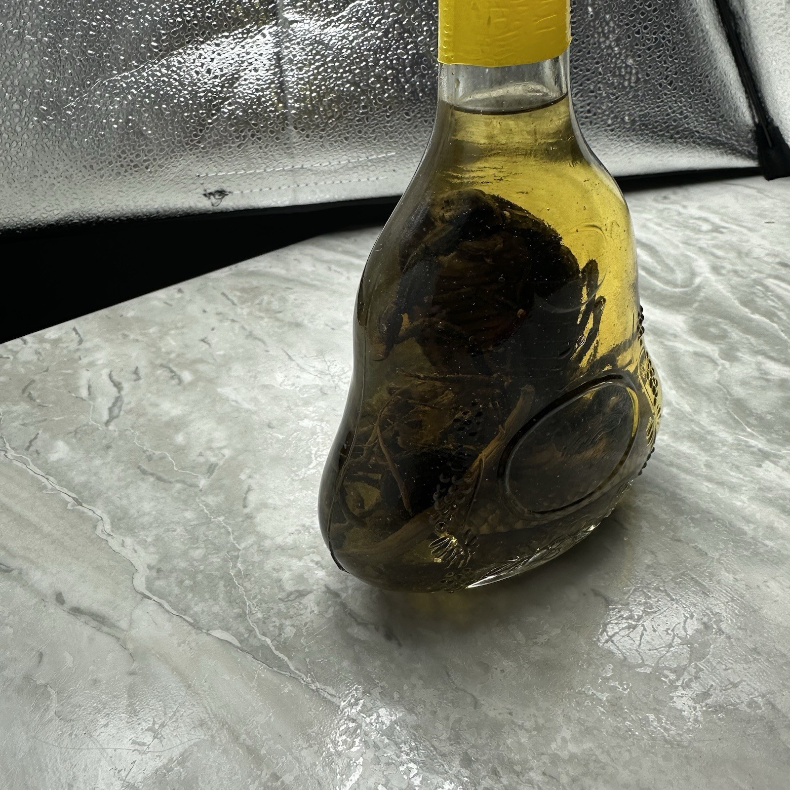 Cobra Snake And A Scorpion In A Glass Bottle 7" Tall - Snake Wine?