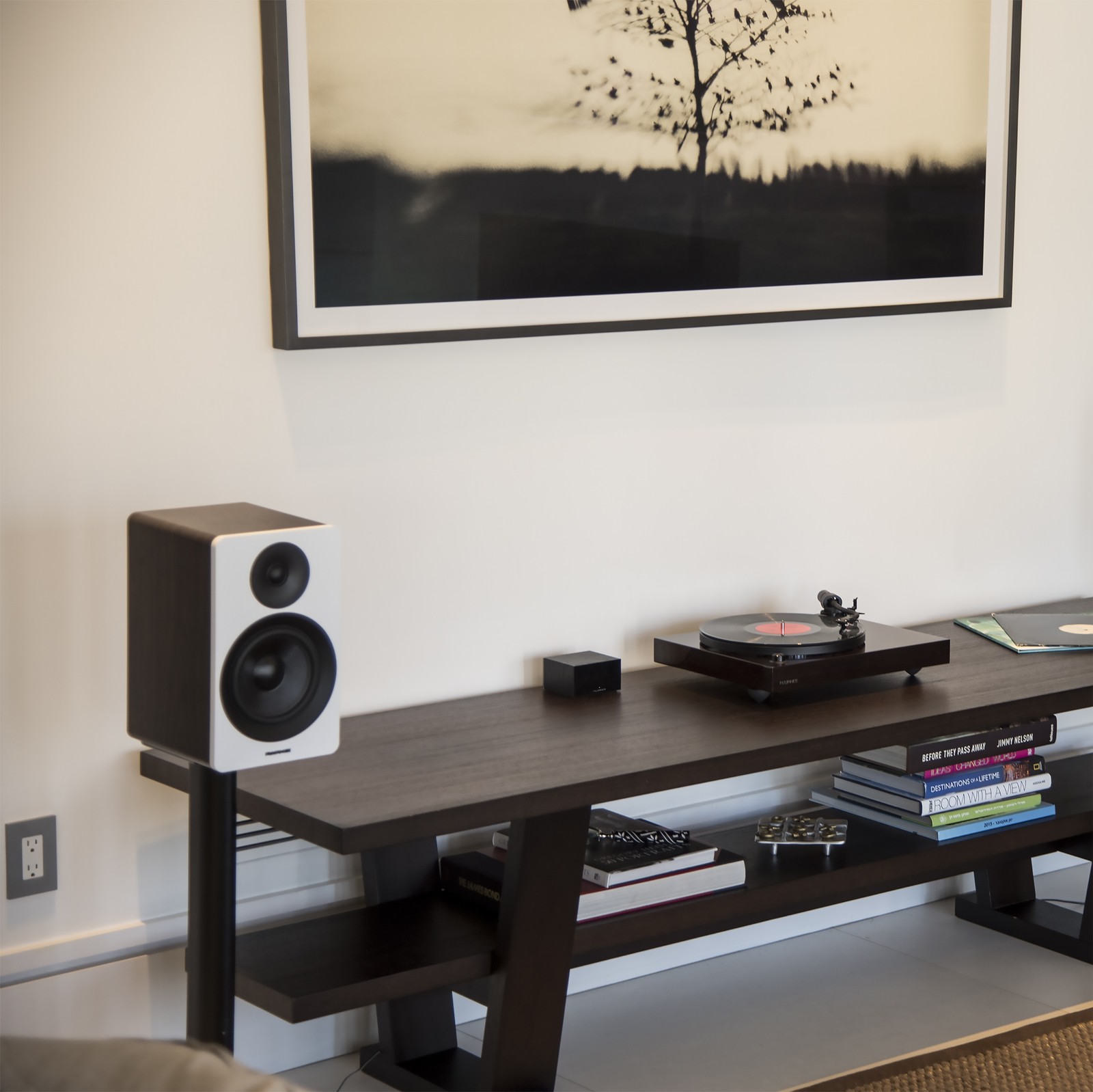 Fluance Phono Preamp with RIAA EQ for MM Turntables/Vinyl Record Players