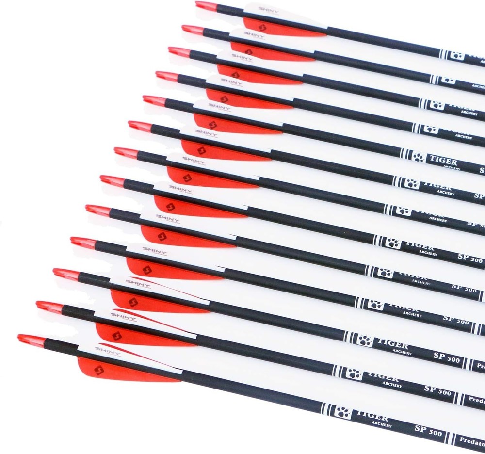 30Inch Carbon Arrow Practice Hunting Arrows with Removable Tips for Compound ...