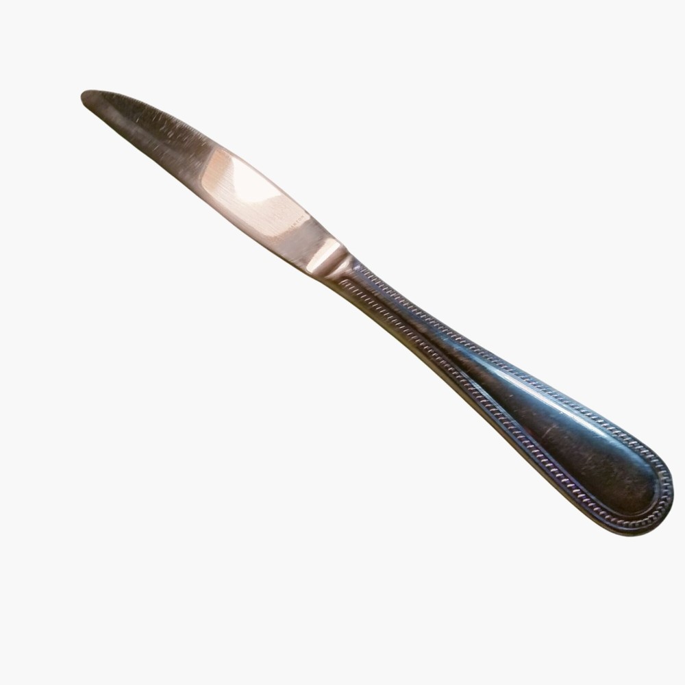 Stainless Steel Beaded Edge Dinner Knife 9 inch Replacement Flatware