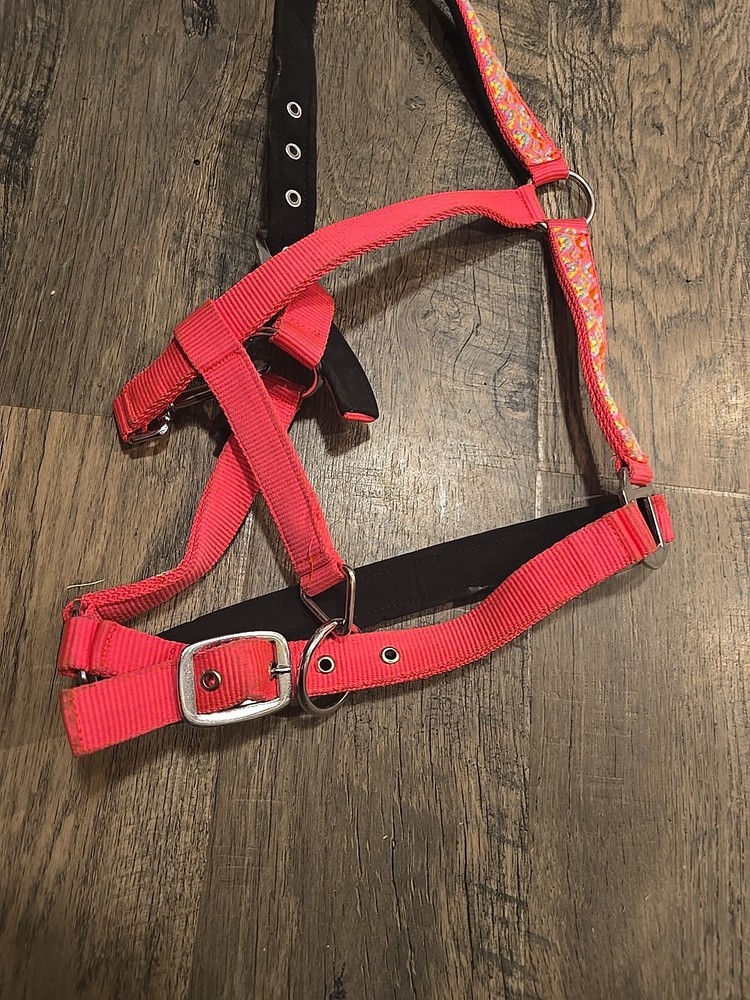 Horse Halter