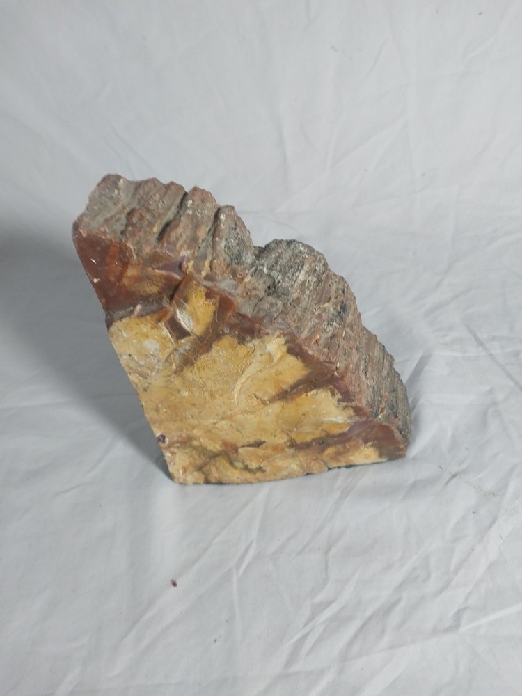 Fossilized Wood Chunk, Petrified Wood