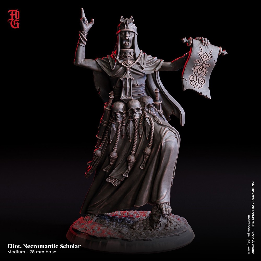 DnD Eliot Necromantic Scholar Mini 32mm Scale TTRPG