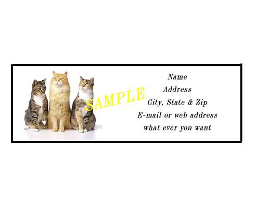 CAT ADDRESS LABELS COOL!!! #1