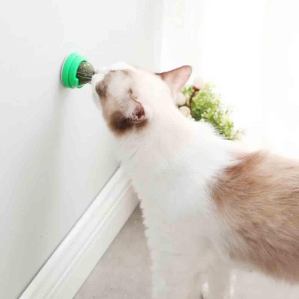 AOODOOM 6 PCS Catnip Balls Green