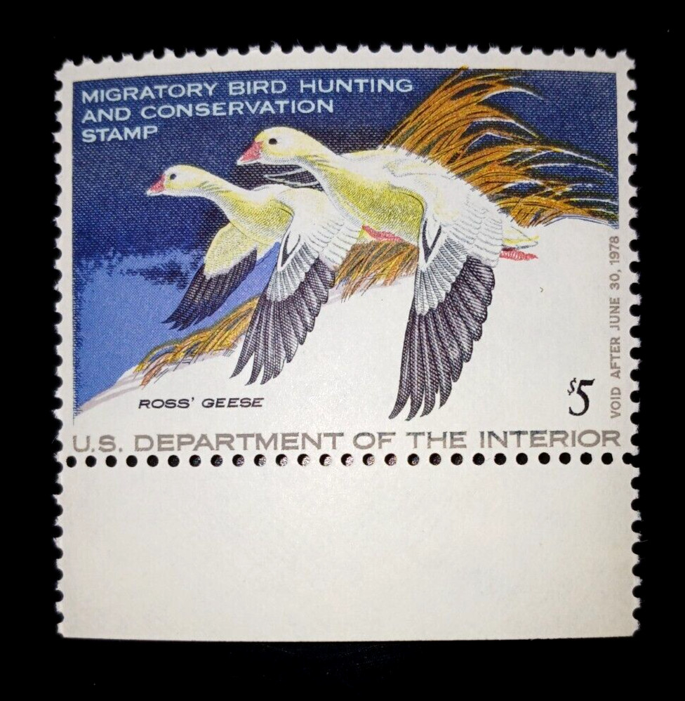 US Duck Stamp - Scott# RW44  Mint NH Single