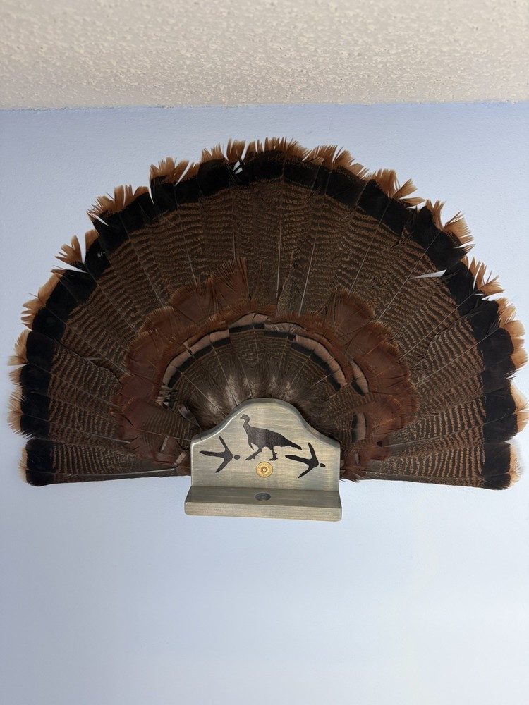 Wild Turkey Plaque Fan/1 Beard Display Handcrafted Solid Wood In Gray