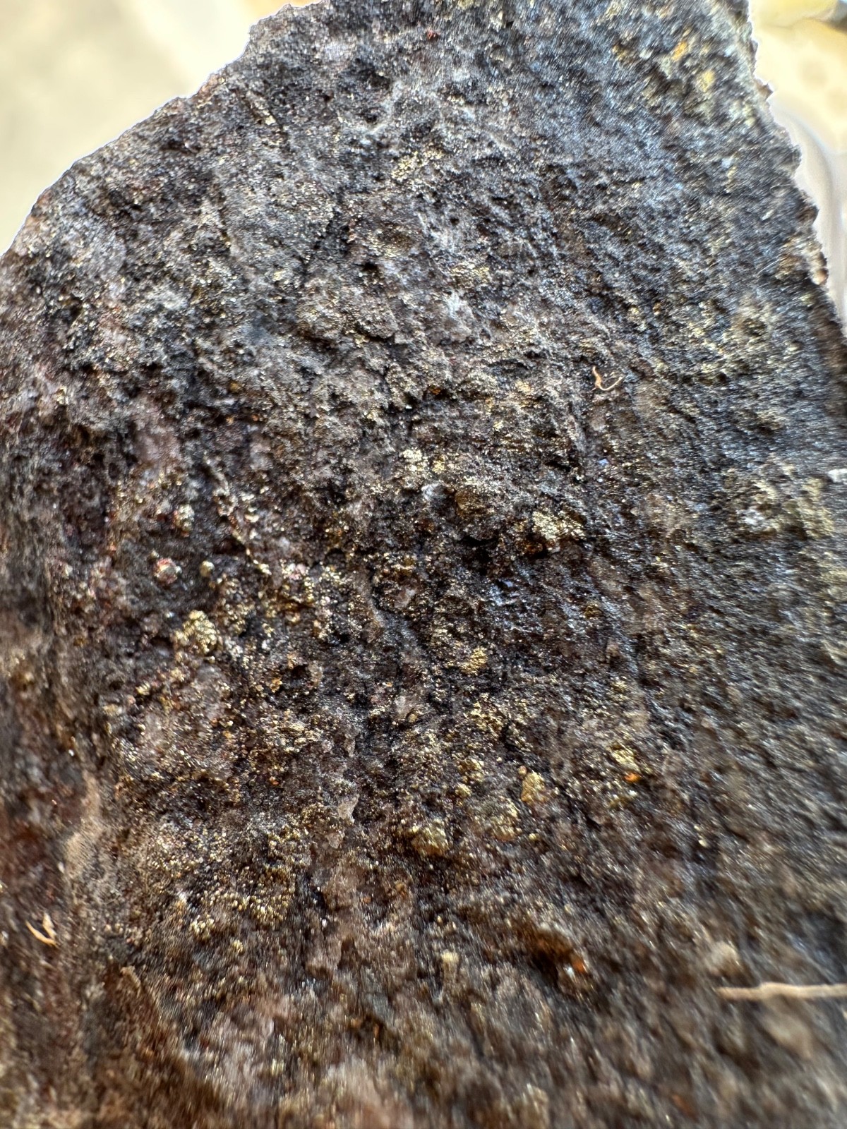 GOLD ORE SAMPLE SPECIMENS 1.5 lbs