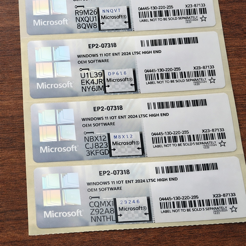Windows 11  IOT Enterprise MUI 2024 LTSC High End OEM Software NEW