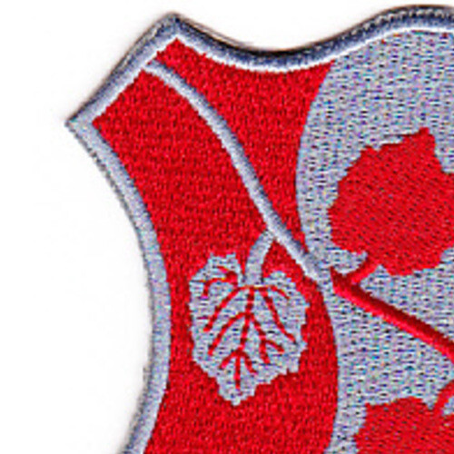 151st Chemical Battalion Patch